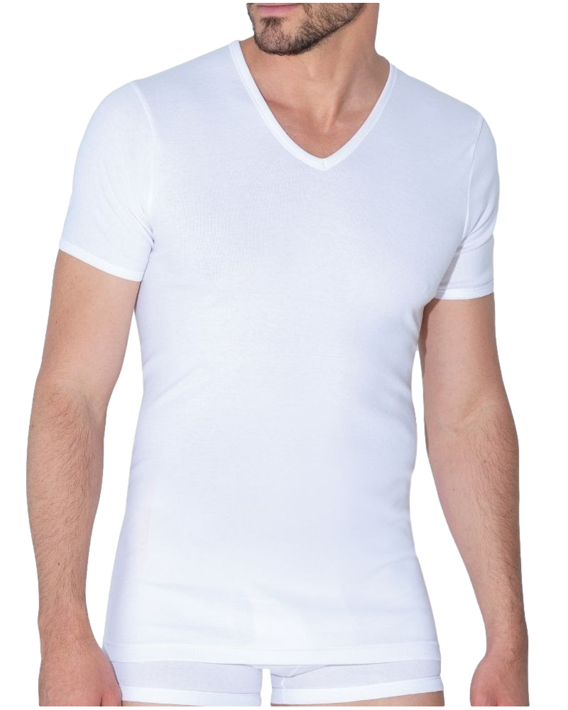 Eminence V-neck undershirt (2 pack)