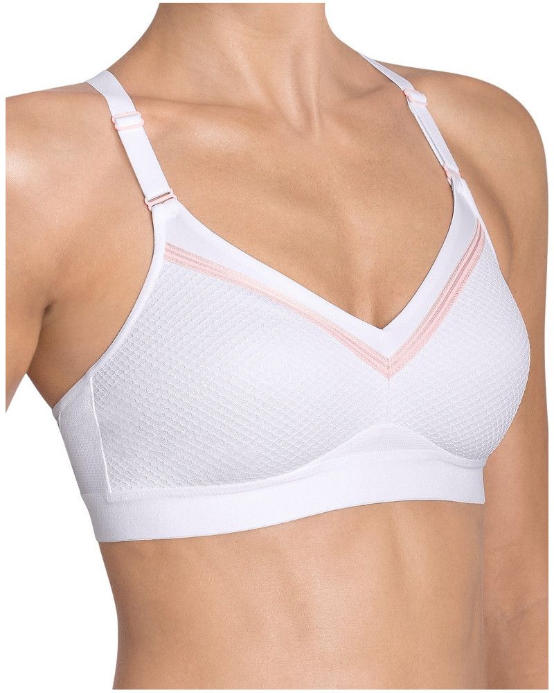 triaction free motion triumph